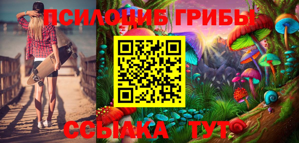 купить наркотик  Вход с VPN  Псилоцибиновые грибы Cubensis  Холмск  Галлюциногенные грибы MAGIC MUSHROOMS 